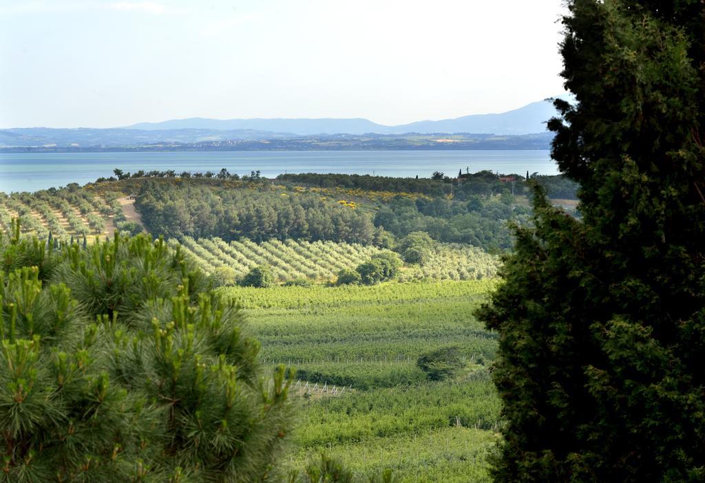 Bauernhof San Severo Passignano sul Trasimeno